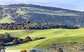 Mohua Park - Catlins Eco Accommodation